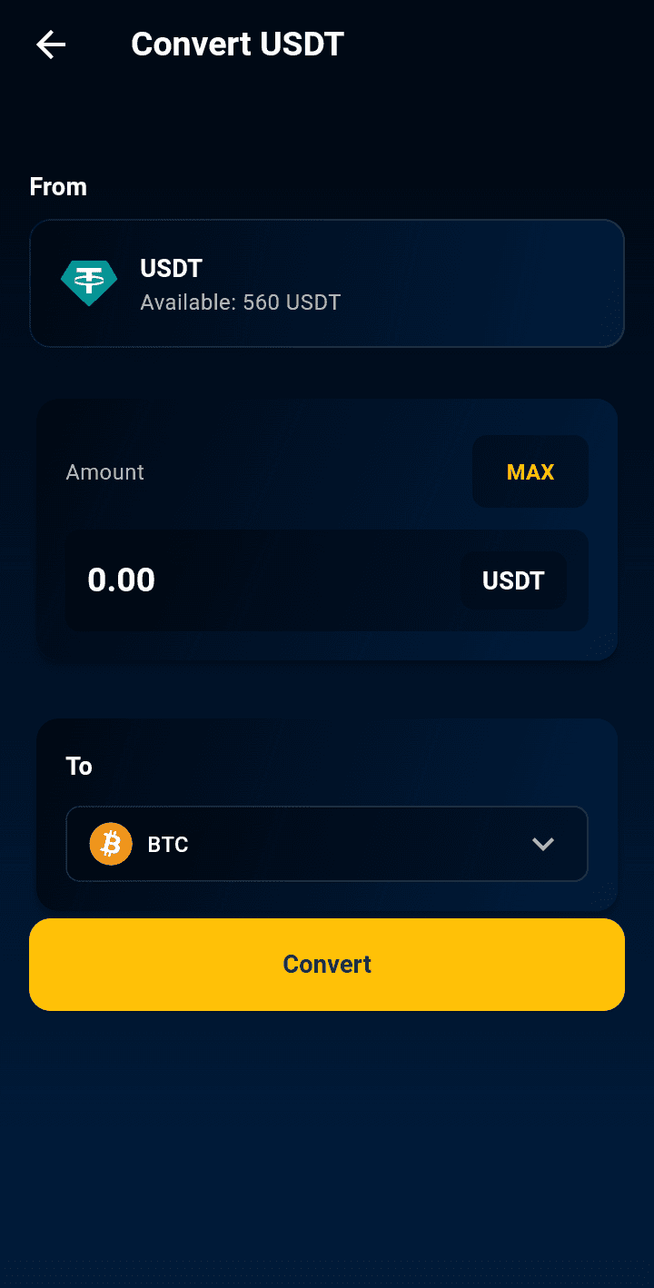 Crypto conversion interface