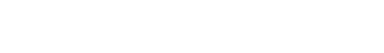 NadiaPoint Logo